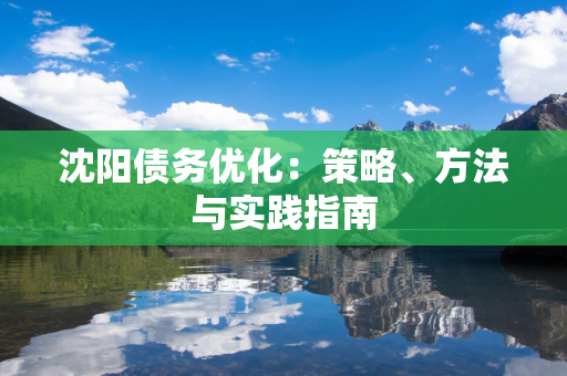 松原债务优化：策略、方法与实践指南